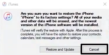 Are you sure you want to restore the iPhone
